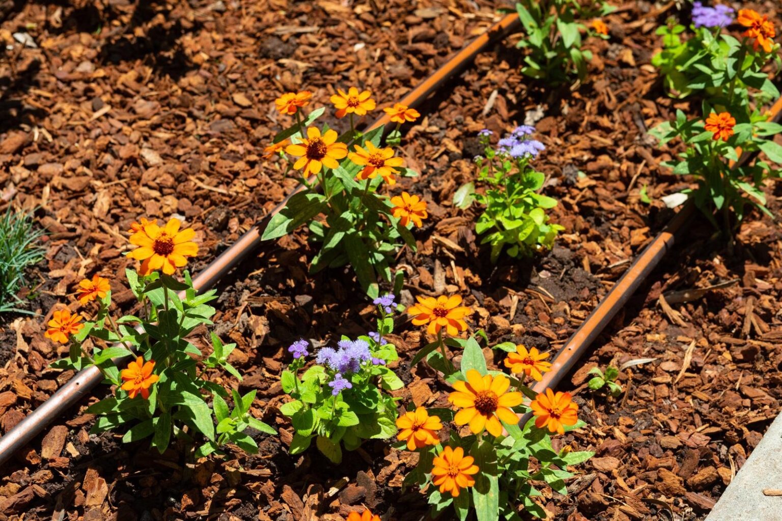 garden supplies