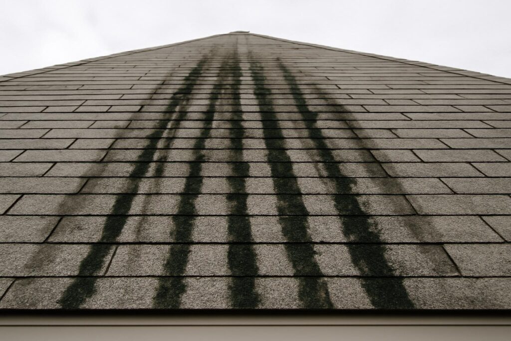 cleaning shingle roofs