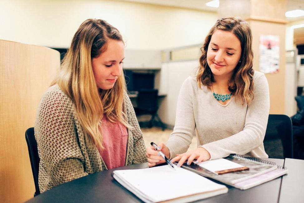 searching for advocacy essays examples