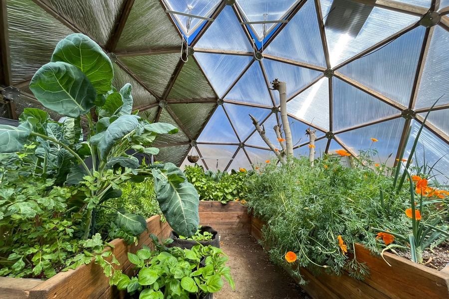 geodesic dome greenhouse